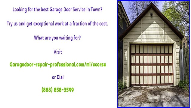 Licensed Garage Door Technicians in Ecorse, MI
