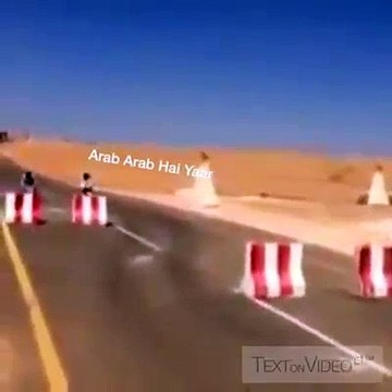 Itny Zalim Kuty pehly kbi aap ne nai daikhy hon ge