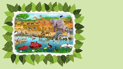 African Animals For Kids