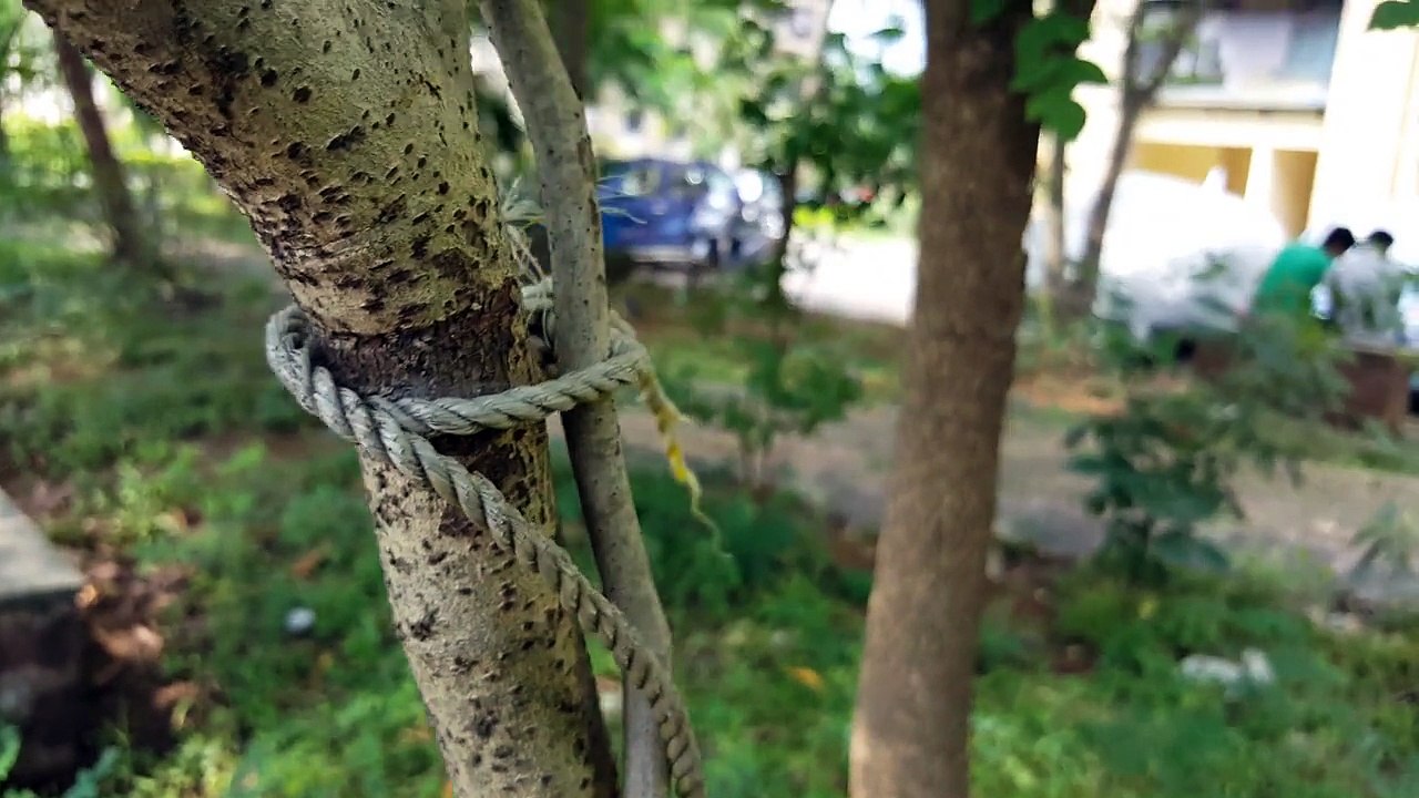 Samsung Galaxy Note5 Cam HD 720p