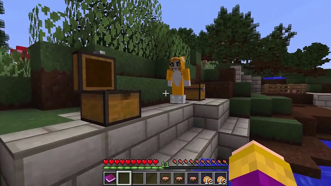 Stampy Cat Wonder Quest Side-Quests