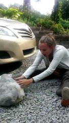 Chu cho khoc khi gap lai chu