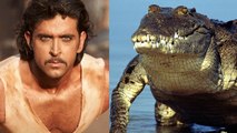 Hrithik Roshan To Fight With HUGE Crocodile In Mohen jo Daro
