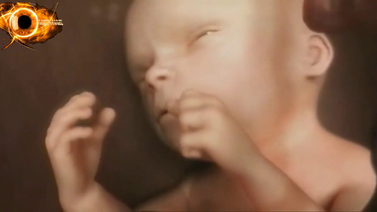 Genesis Amazing Video About Creation of Life
