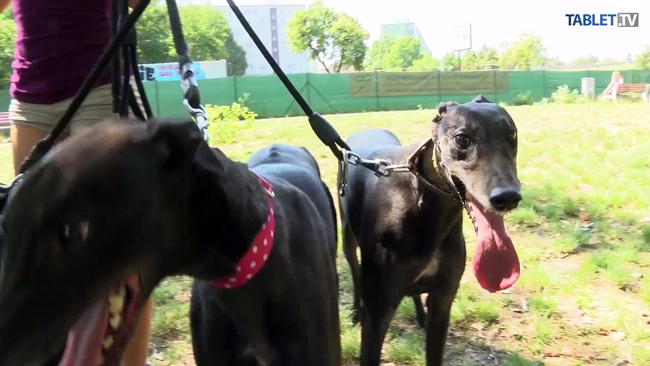 ÚTULKOVO: Toto sú tri beznádejné situácie, ktoré sa skončili šťastne