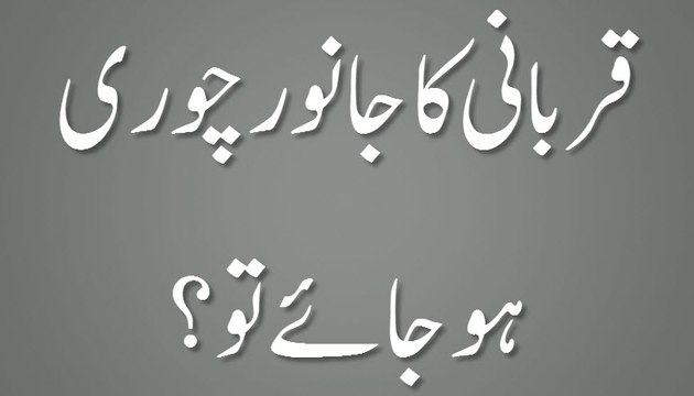 Qurbani Ka Janwar Chori Ho Jaye to - Madani Guldasta 566 - Maulana Ilyas Qadri