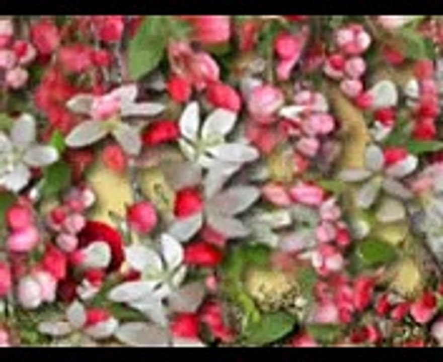 Pakistani Stage Dance 2015 - Punjabi Stage Songs 2015 - Nargis Hot Mujra Song