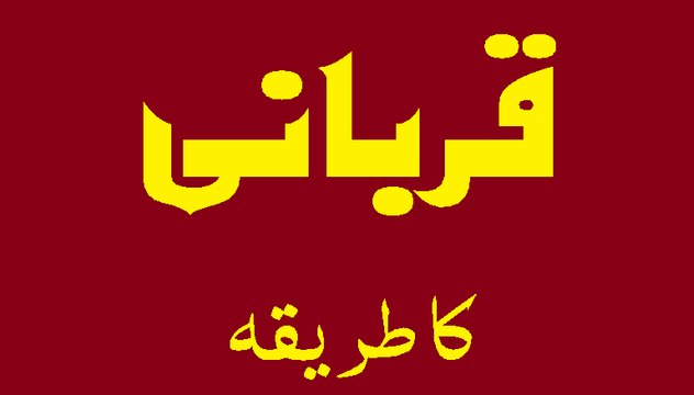 Qurbani Ka Tariqa (Fresh Footage) - Madani Guldasta 557 - Maulana Ilyas Qadri