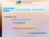 sap ehs online training classes