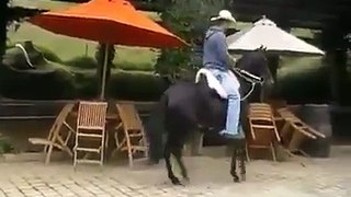 Horse Dance