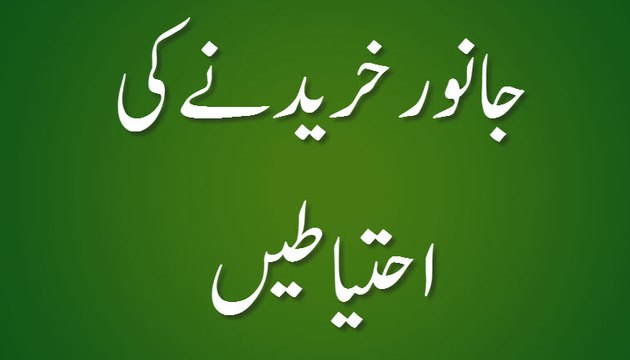 Janwar Khareednay Ki Ahtiyatain - Maulana Ilyas Qadri - Madani Guldasta 258