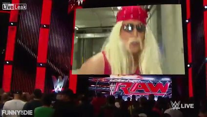 Hulk Hogan Responds to Racist Rant