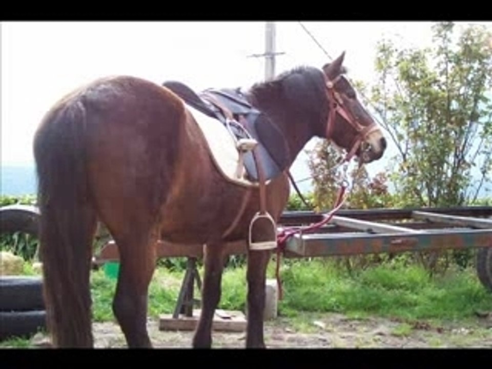 montage sur ma poons!!!