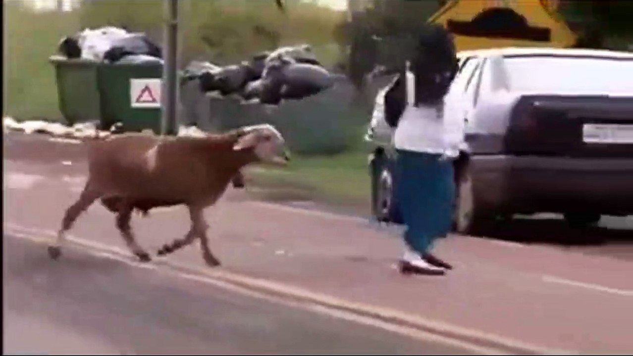 Wehshi Bakra
