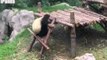 Panda Abandons Friend Trying to Climb Ladder