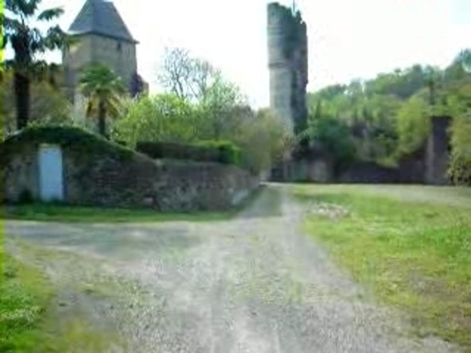 Paraitrait_que_sur_www.chezfreddy.net