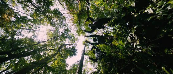 Puli - Official Trailer | Vijay, Sridevi, Sudeep, Shruti Haasan, Hansika Motwani