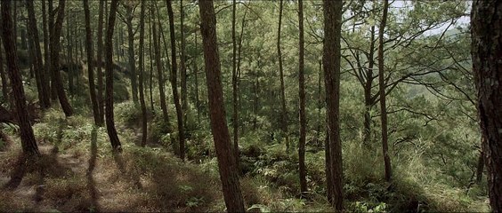 HONOR THY FATHER Trailer | Festival 2015