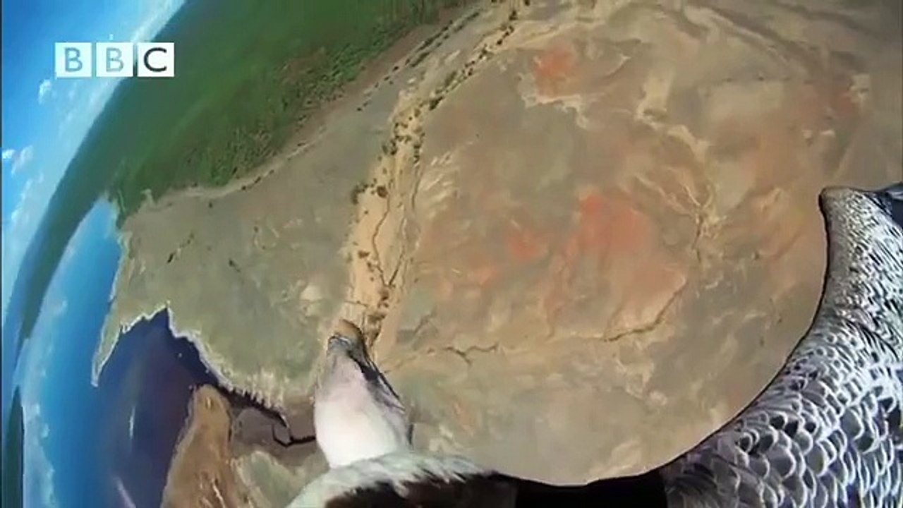 BBC's Earthflight - Trailer