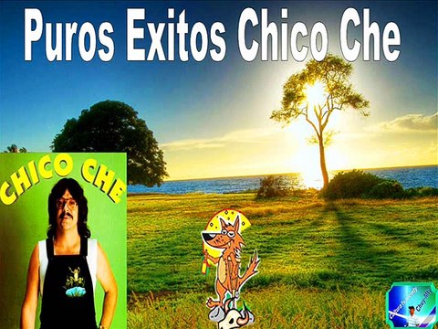 Chicoche y La crisis, Los Mejores Exitos, Cumbias Antaño mix
