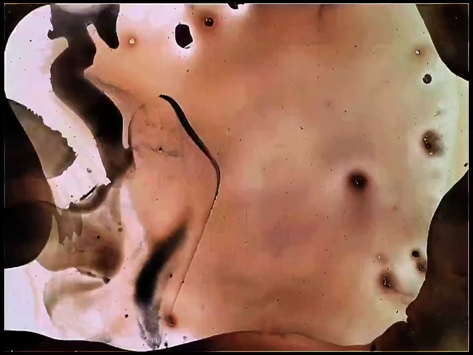 TRIBUTES -- Pulse (official trailer)