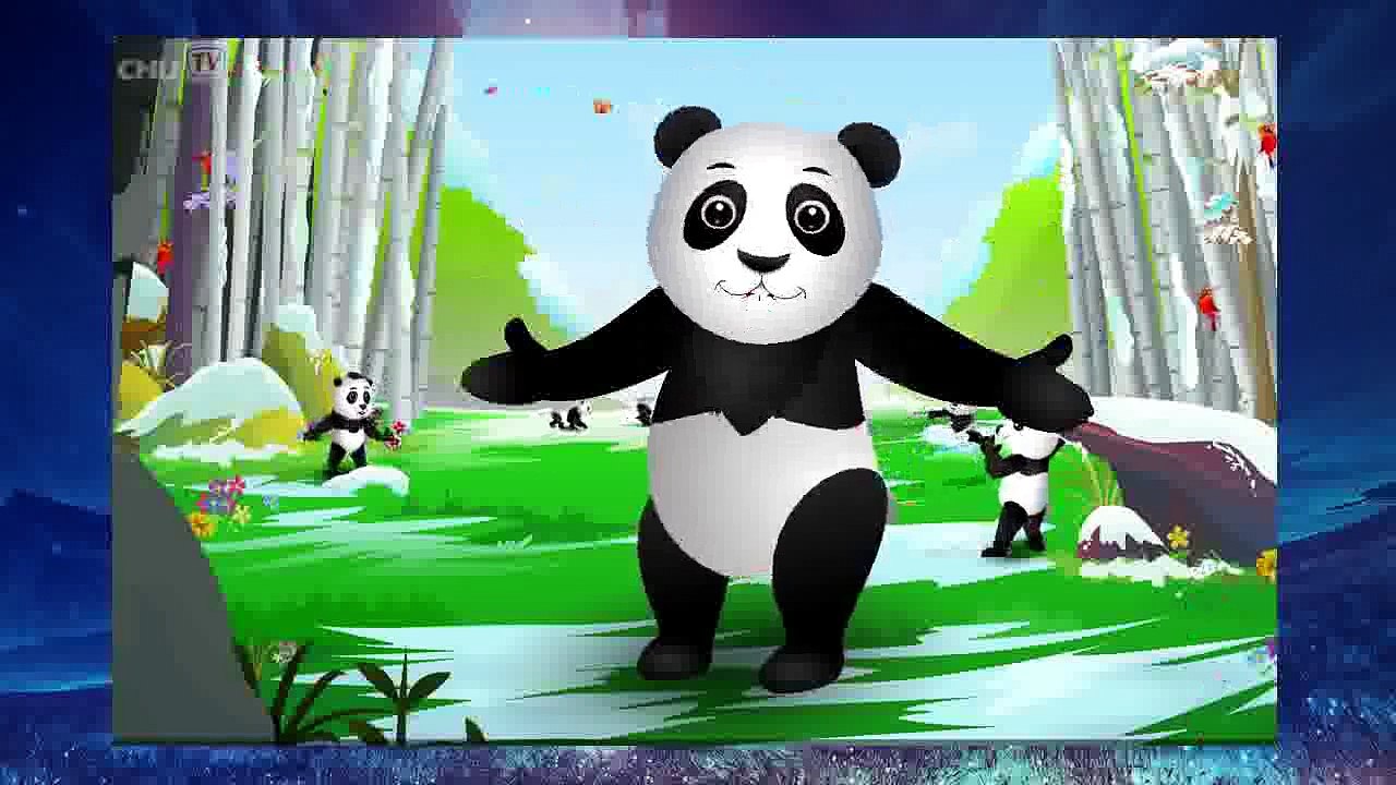 Finger Family Panda | ChuChu TV Animal Finger Family Songs & Nursery Rhymes For Children