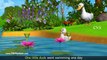 Five Little Ducks Went Out One Day - 3D Animation Five Little Ducks Nursery Rhyme for children