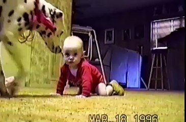 Funny Video Cute Dogs And Adorable Babies