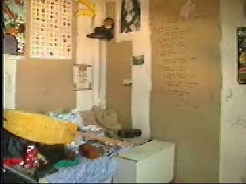 LA CHAMBRE DU BRAD