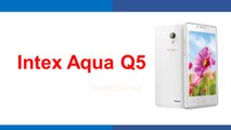 Intex Aqua Q5 Smartphone Specifications & Features