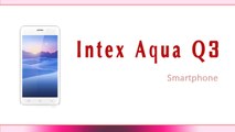 Intex Aqua Q3 Smartphone Specifications & Features - 8 MP Rear Camera