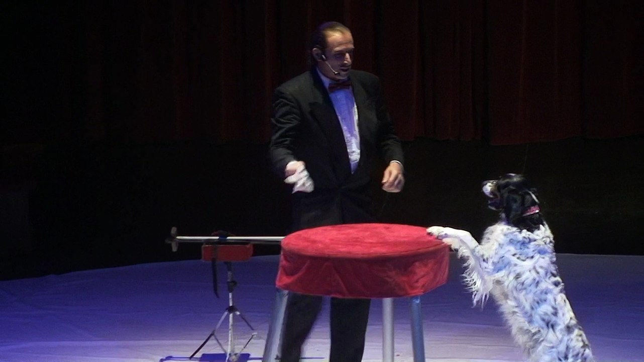 Franck Marvin au Cirque Alexis et Anargul Gruss Numero comique du chien Pareseux