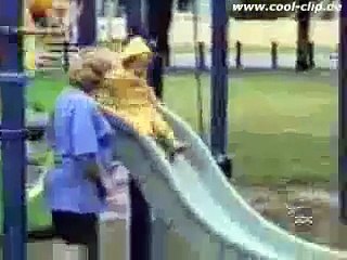 Funy clips zusammengechnitten