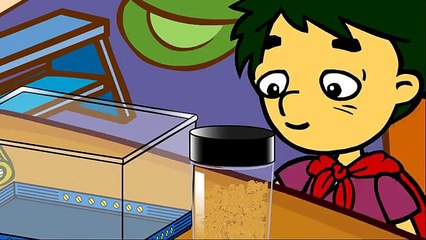 Robocar Poli : Child Psychology 02 | 3 EPs Compilation | 35 min