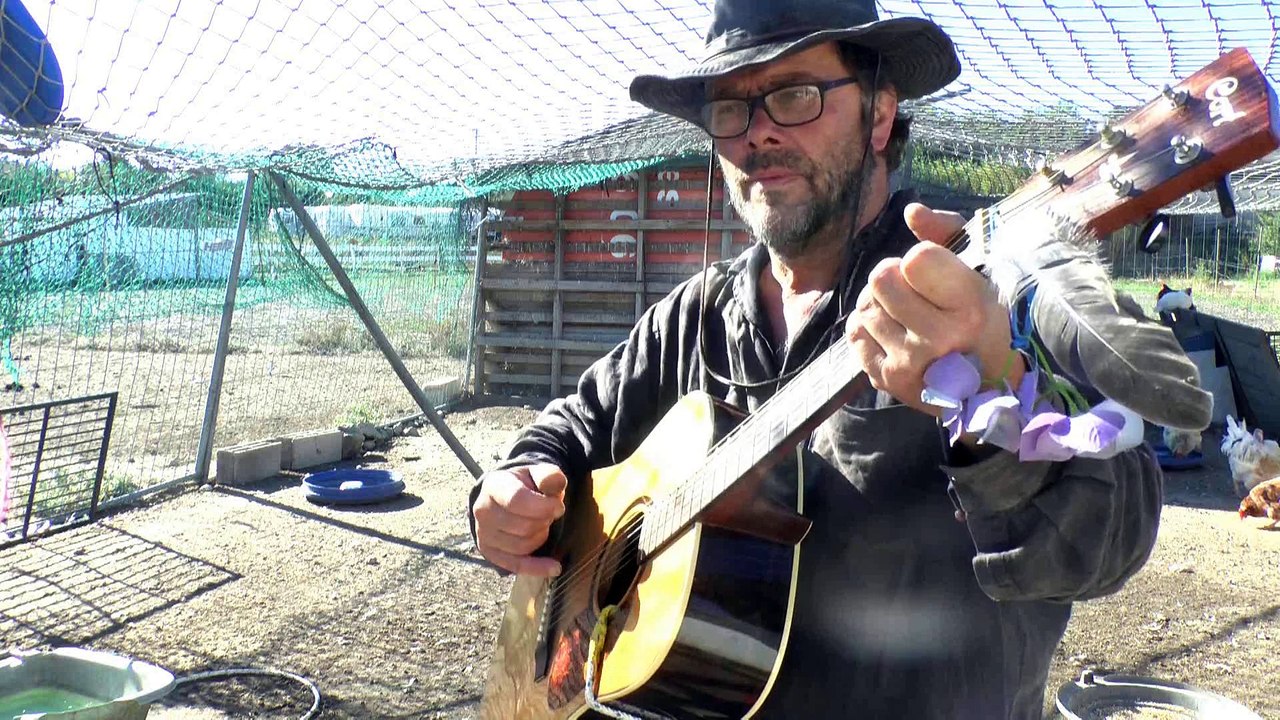 le mur l'âne la poulette et le politique - chanson