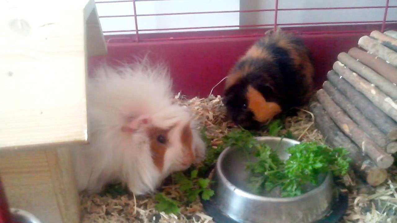 VID_20150914_191401