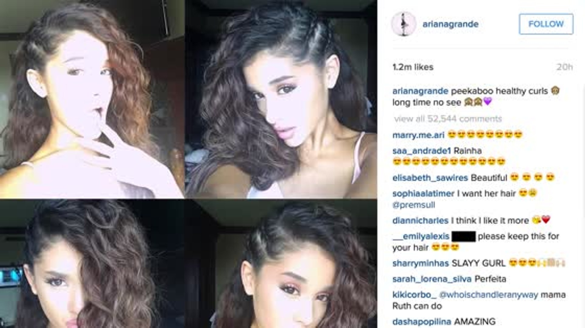 Ariana Grande Compares Her Curly Hair To Her Dog S Hair Video