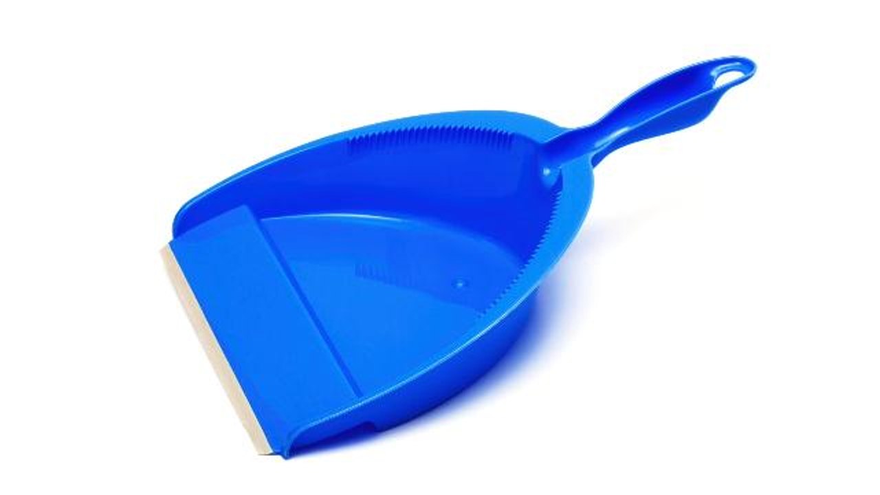 Florida woman attacks boyfriend with pooper scooper