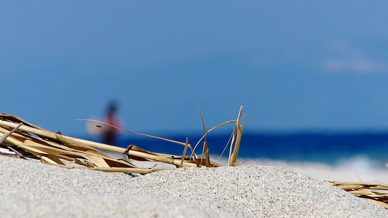Beautiful Woman On The Beach