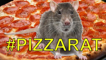 New York PIZZA RAT Desperately Wants To Eat Pizza | What's Trending Now