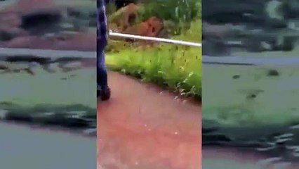 Flash Flood Turns Deadly For Several Colorado City