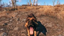 Fallout 4 - Les coulisses de Canigou