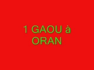 1 Gaou à Oran