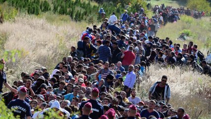 Breaking down Europe&apos;s migrant crisis