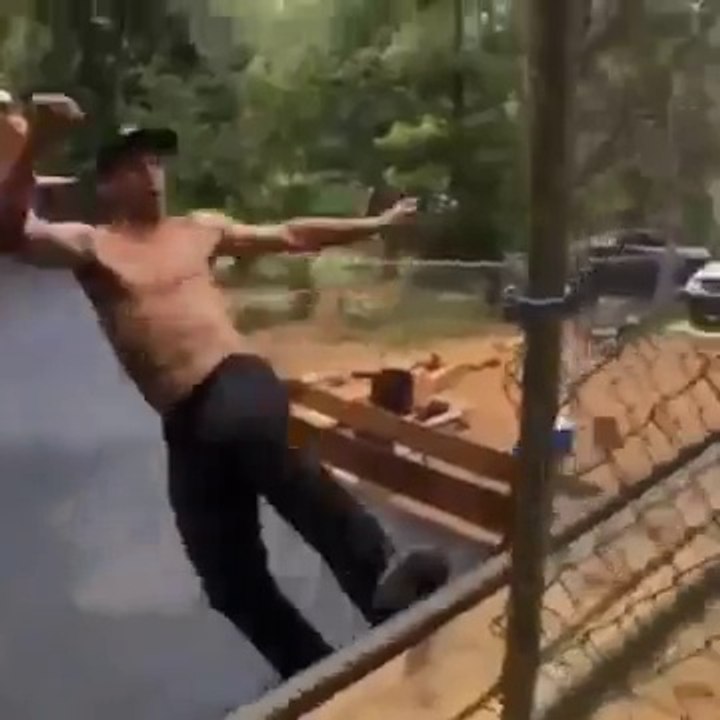 The dog grabs the skateboard from under the feet during stunt