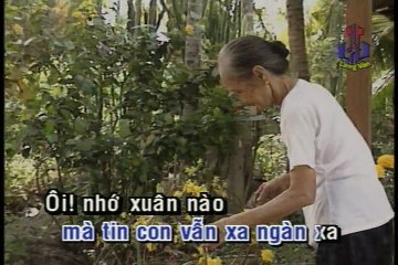 Xuân này con không về - Chế Linh - Karaoke (beat chuẩn)