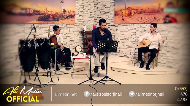 Ali Metin - Şu Dağlarda Kar Olsaydım (Canlı Performans
