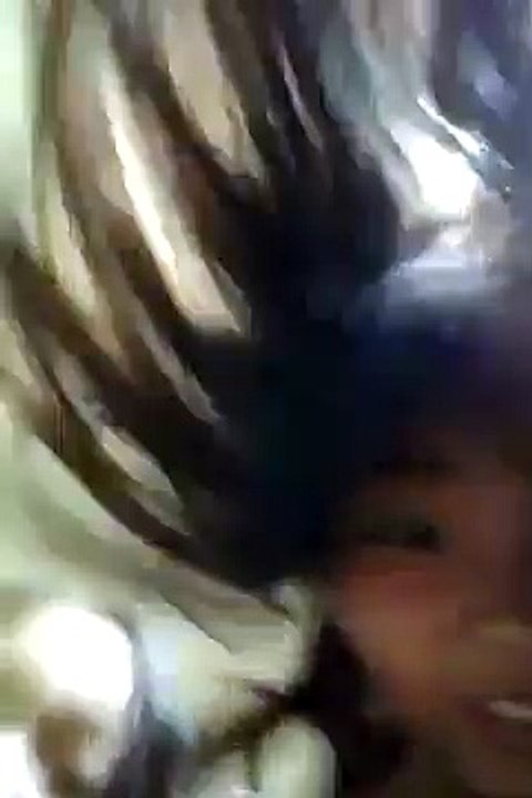 재미있는 롤러코스터타기