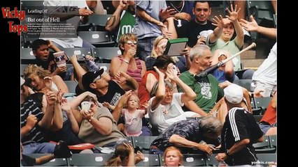 Photos taken at the right moment 2015 # 4   Fotos tomadas en el momento justo