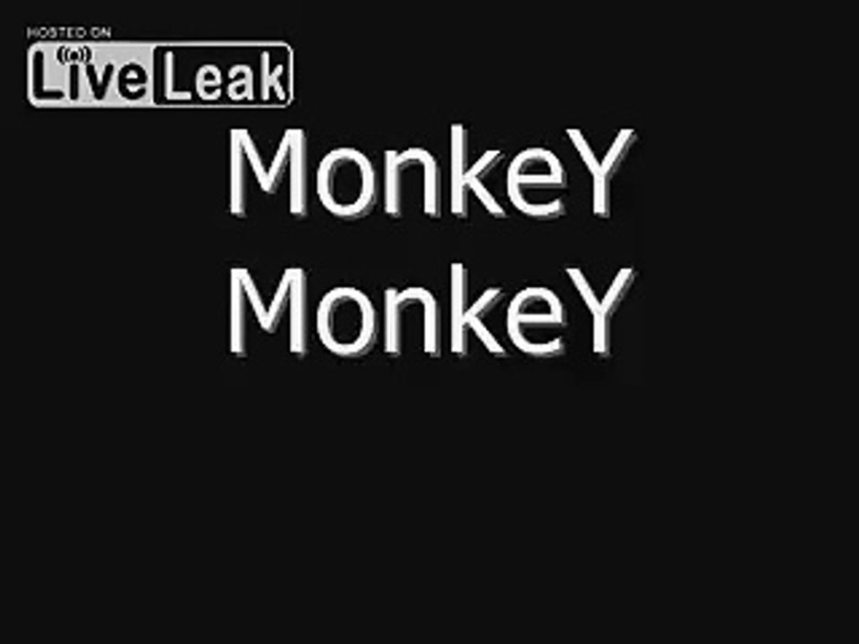 Monkey smells finger